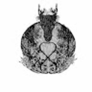 Meet your Posher, Kirsten